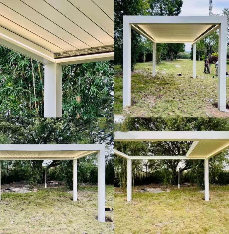 1766826434699681.jpg 8.2.jpg